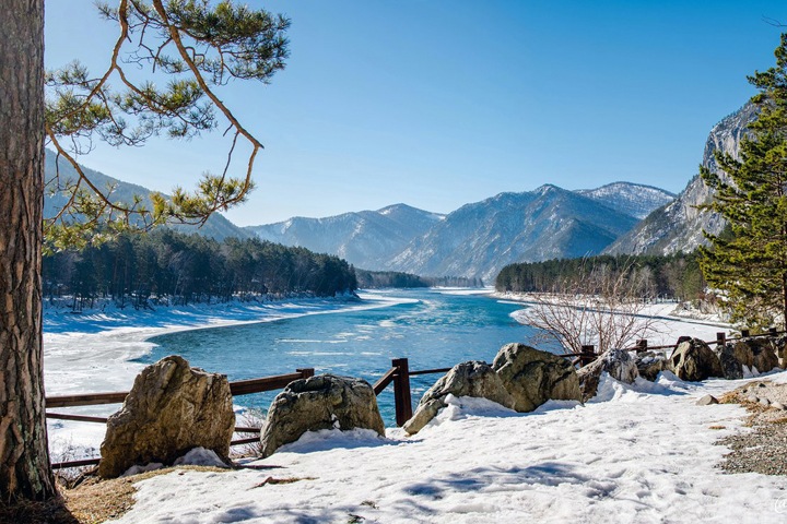 Единение с природой на Алтае и спасение олененка в Бурятии. Сибирь за неделю Единение с природой на Алтае и спасение олененка в Бурятии. Сибирь за неделю