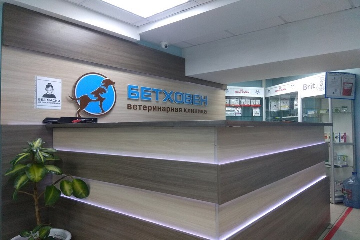 Красноярец разгромил топором ветклинику после смерти его собаки Красноярец разгромил топором ветклинику после смерти его собаки