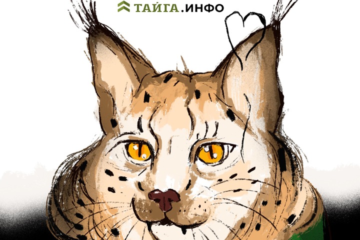 Генпрокуратура не требовала блокировать Тайгу.инфо