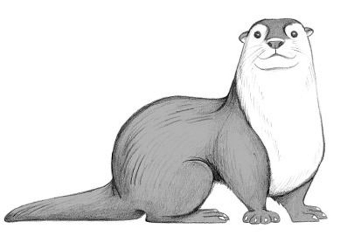 Новосибирская мэрия предложила рисовать выдр в самоизоляции Новосибирская мэрия предложила рисовать выдр в самоизоляции