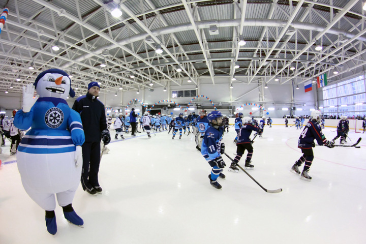 Новосибирцев позвали на слушания по хоккейной арене 28 марта Новосибирцев позвали на слушания по хоккейной арене 28 марта