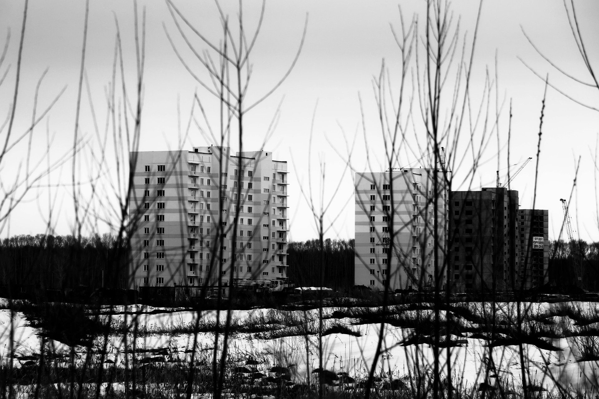 Мэрия начала применять жесткие меры к должникам по аренде земли в Новосибирске Мэрия начала применять жесткие меры к должникам по аренде земли в Новосибирске