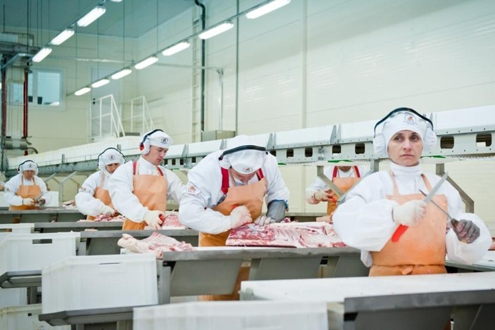 Работник алтайского филиала СПК распорол свой живот при разделке туши Работник алтайского филиала СПК распорол свой живот при разделке туши