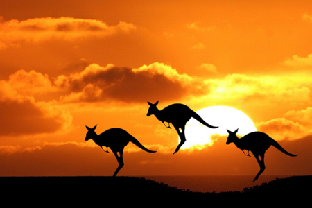 Директор алтайского санатория за счет бюджета путешествовал по миру 