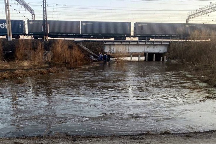 СК и прокуратура начали проверку после исчезновения шестилетнего мальчика в Оби СК и прокуратура начали проверку после исчезновения шестилетнего мальчика в Оби