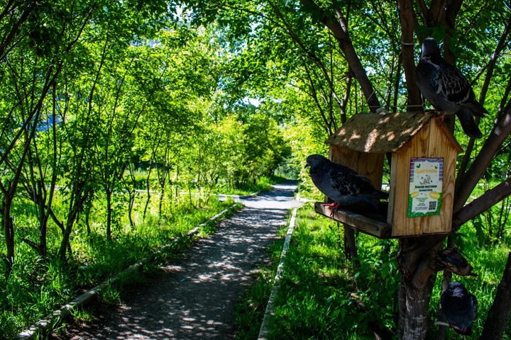 Новосибирцам пообещали скорое потепление до +15 Новосибирцам пообещали скорое потепление до +15