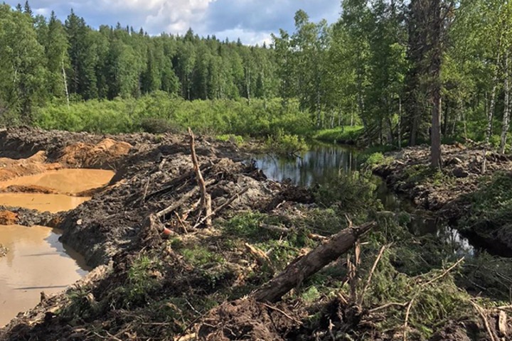 Золотодобытчикам запретили работать в Кузбассе из-за загрязнения реки