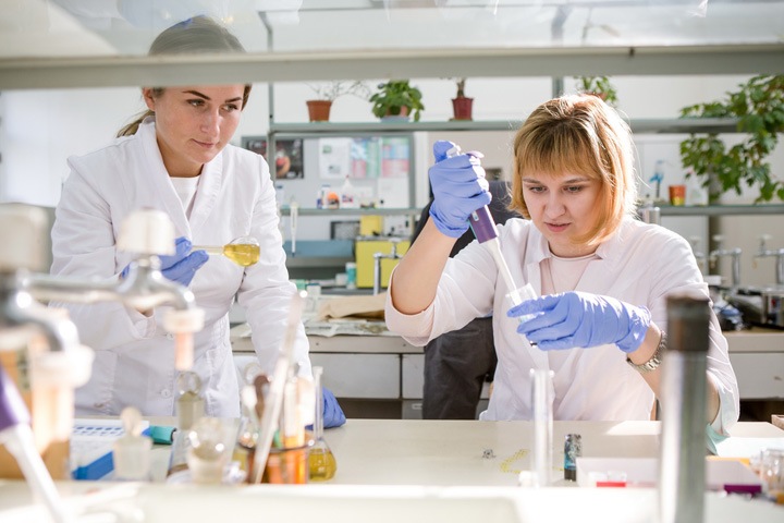 Томские ученые выделили из растения мощное обезболивающее Томские ученые выделили из растения мощное обезболивающее