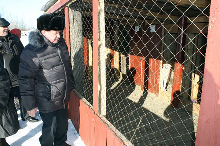 Мэр Горно-Алтайска объявил голодовку Мэр Горно-Алтайска объявил голодовку