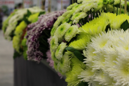 Кенийские розы и зонтики из цветов: выставка флористов в Новосибирске (фото) Кенийские розы и зонтики из цветов: выставка флористов в Новосибирске (фото)