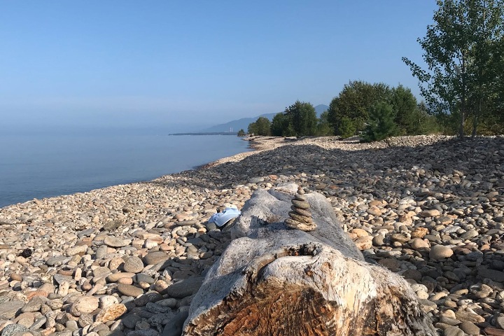 Лес вырубят на Байкале ради ЛЭП Лес вырубят на Байкале ради ЛЭП