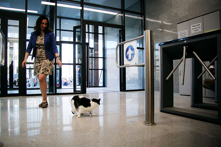 Кот Ништяк открыл новый корпус НГУ раньше чиновников