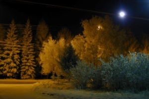 Подозреваемые в нападениях на жителей Иркутска приходили на посвященный им митинг