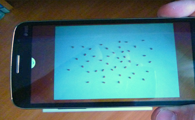 Новосибирские генетики проводят исследования при помощи смартфона Новосибирские генетики проводят исследования при помощи смартфона