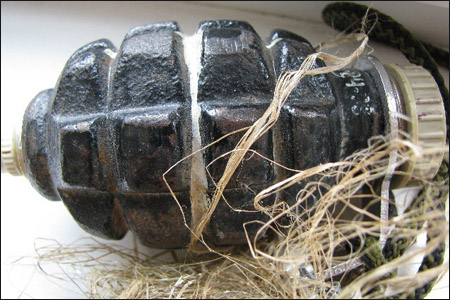 Боевую гранату нашли в цветочном горшке в детской поликлинике Читы