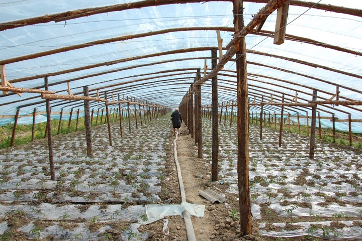 Китайские огородники незаконно получили берег Селенги и устроили там свалку Китайские огородники незаконно получили берег Селенги и устроили там свалку