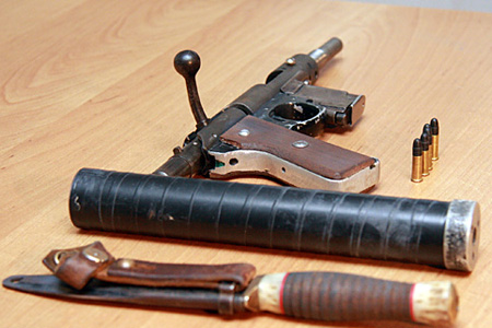 Новосибирец отправится в психбольницу за ранение полицейского Новосибирец отправится в психбольницу за ранение полицейского