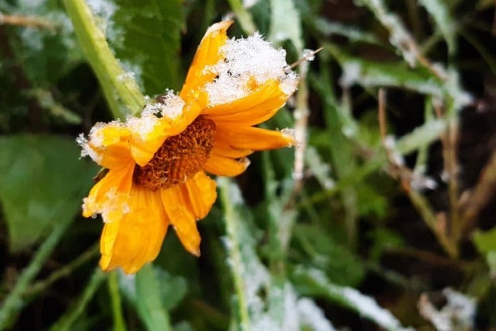 Погода в Новосибирской области: снег и до -8