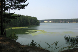 Шервудский лес в Сибири: Как легенды и уникальная флора помогут выжить Караканскому бору Шервудский лес в Сибири: Как легенды и уникальная флора помогут выжить Караканскому бору
