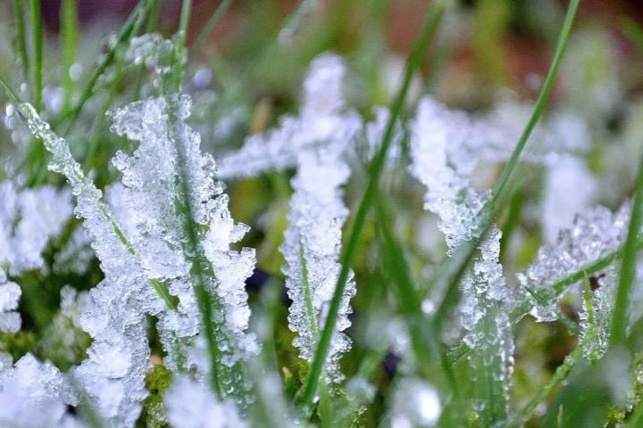 Новосибирцев ждут заморозки Новосибирцев ждут заморозки