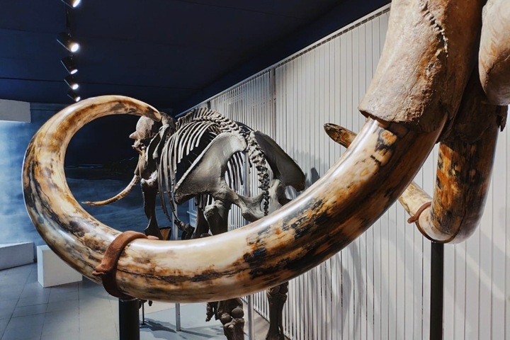 Культура эпохи пандемии: жизнь без зрителя. Прямой эфир