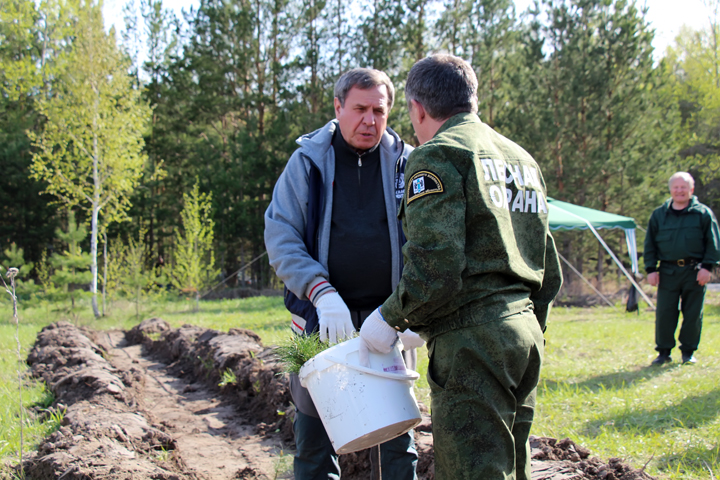 Новосибирское правительство вышло на посадки