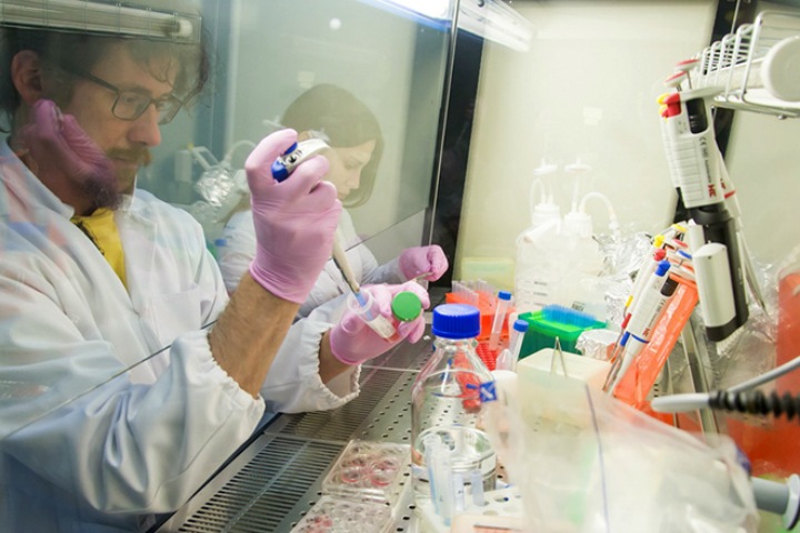 Ученые предложили будить раковые клетки. Это нужно для терапии онкологических болезней