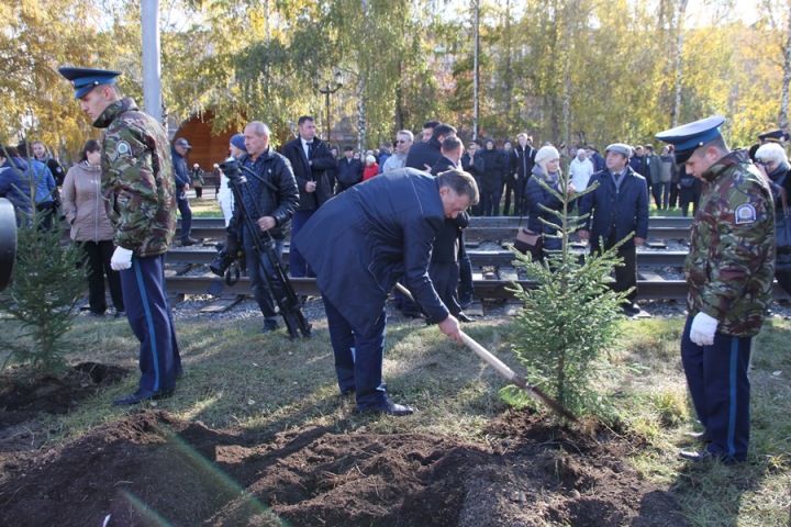 Аллея к 80-летию Новосибирской области высажена в Кировском районе Аллея к 80-летию Новосибирской области высажена в Кировском районе