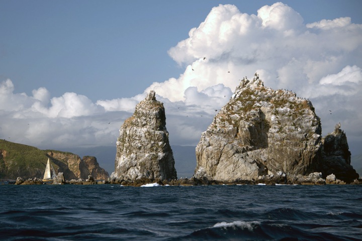 Российские ученые создали прибор для выявления радиации в морской воде Российские ученые создали прибор для выявления радиации в морской воде