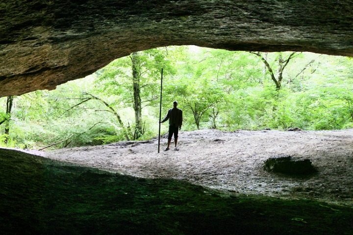 Зуб свиньи помог сибирским ученым уточнить возраст археологического памятника на Кавказе