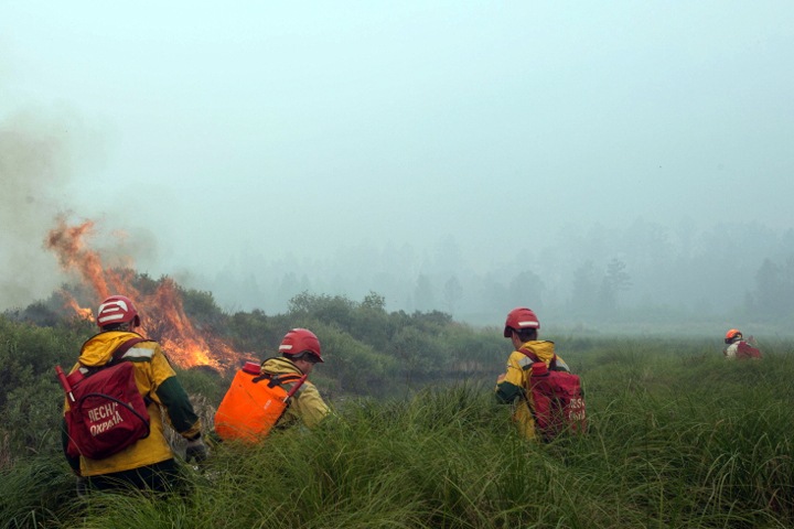 Степные палы подошли к новосибирским деревням Степные палы подошли к новосибирским деревням