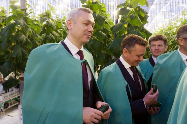 Травникова и Томенко внесли в генсовет «Единой России»