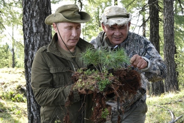 Ученые в Хакасии защищают растения и готовят напитки из картошки Ученые в Хакасии защищают растения и готовят напитки из картошки