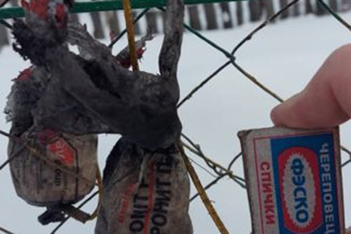 Жительница Новосибирской области купила уголь для печи со взрывчаткой