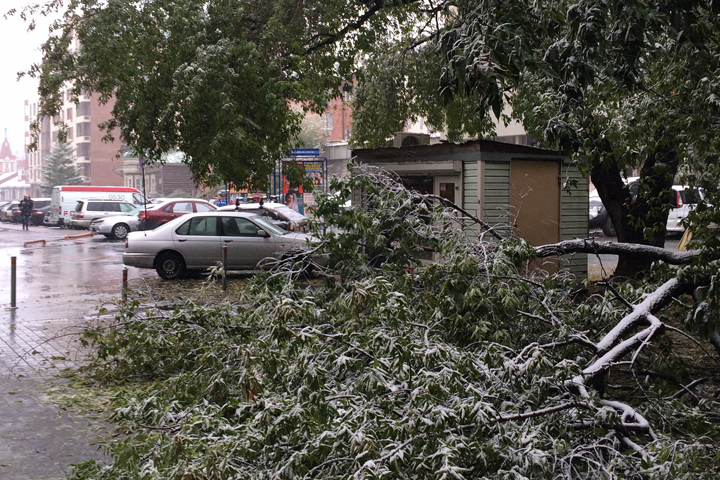 Ущерб от первого снега подсчитали в Новосибирске Ущерб от первого снега подсчитали в Новосибирске