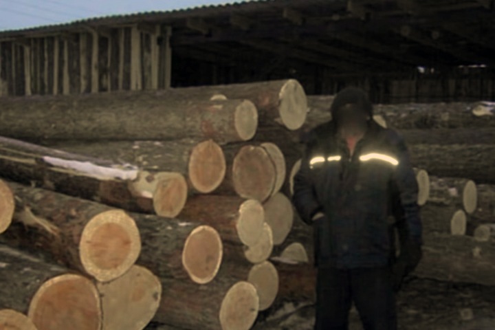 Житель Здвинска получил 18 лет за 49 изнасилований школьниц