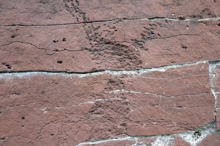 Ученые нашли в Красноярском крае изображения мифических хищников, которым 4 тыс. лет Ученые нашли в Красноярском крае изображения мифических хищников, которым 4 тыс. лет