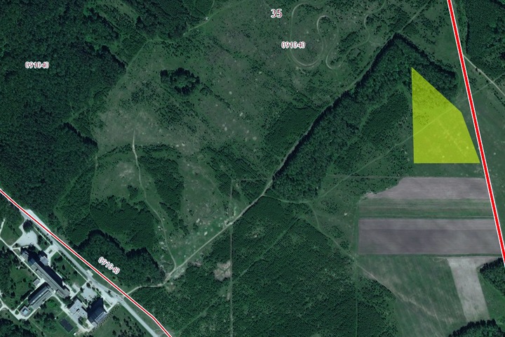 Мэрия Новосибирска отдала 3 га земли экс-главе «Горзеленхоза» Мэрия Новосибирска отдала 3 га земли экс-главе «Горзеленхоза»