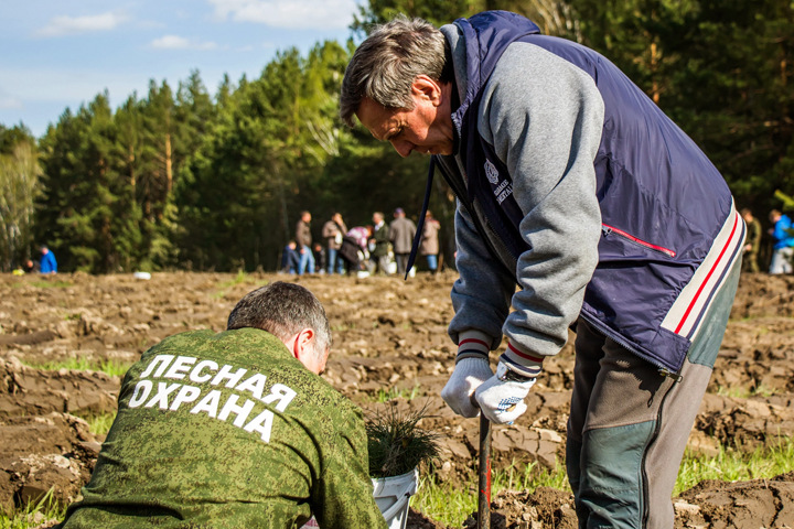 «Последнее предупреждение»: как Городецкий отказался увольнять Пронькина из минсельхоза