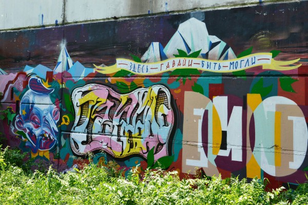 Депутаты новосибирского заксобрания одобрили повышение штрафы за незаконную рекламу