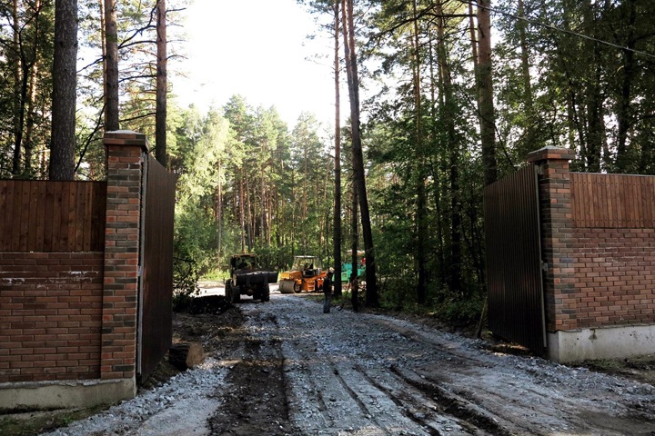 Строители вырубают Заельцовский бор Новосибирска