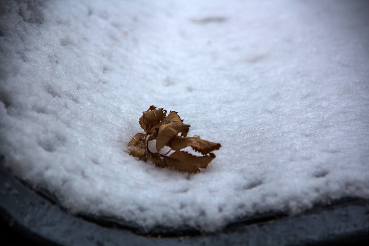 Снег и минусовые температуры прогнозируются в Новосибирской области
