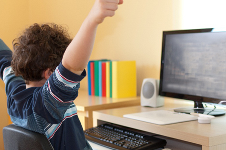 «Нагнетание совсем не той информации для детей»: в Новосибирске назвали претензии к интернету