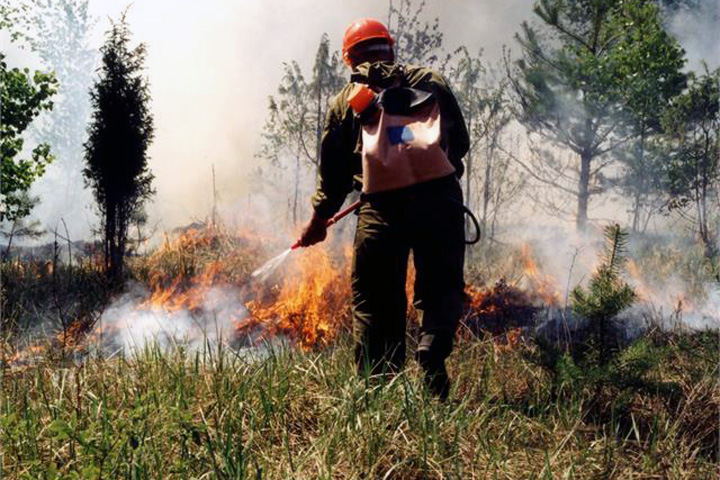МЧС потребовало от губернаторов вернуть особый противопожарный режим в Сибири МЧС потребовало от губернаторов вернуть особый противопожарный режим в Сибири