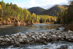 Бурятский полицейский пойман за вылов 60 омулей и уволен из МВД