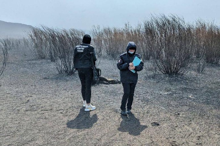 Забайкалец погиб во время степного пала под Борзей Забайкалец погиб во время степного пала под Борзей