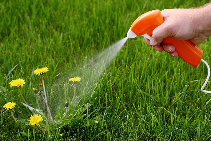 Украинские гербициды для достижения максимальных результатов