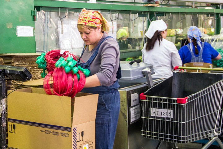 Промпроизводство выросло на 5,4% в Новосибирской области Промпроизводство выросло на 5,4% в Новосибирской области