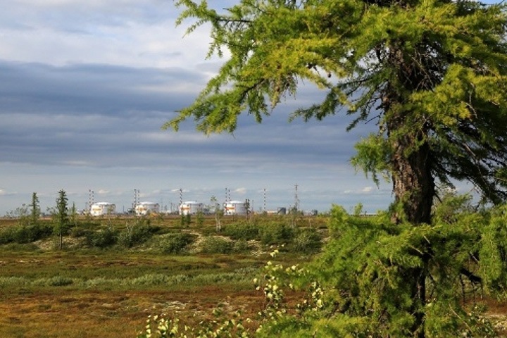 Подан иск о банкротстве «Ванкорнефти» Подан иск о банкротстве «Ванкорнефти»