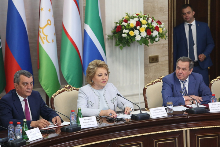 Владимир Городецкий привлек внимание федерального центра